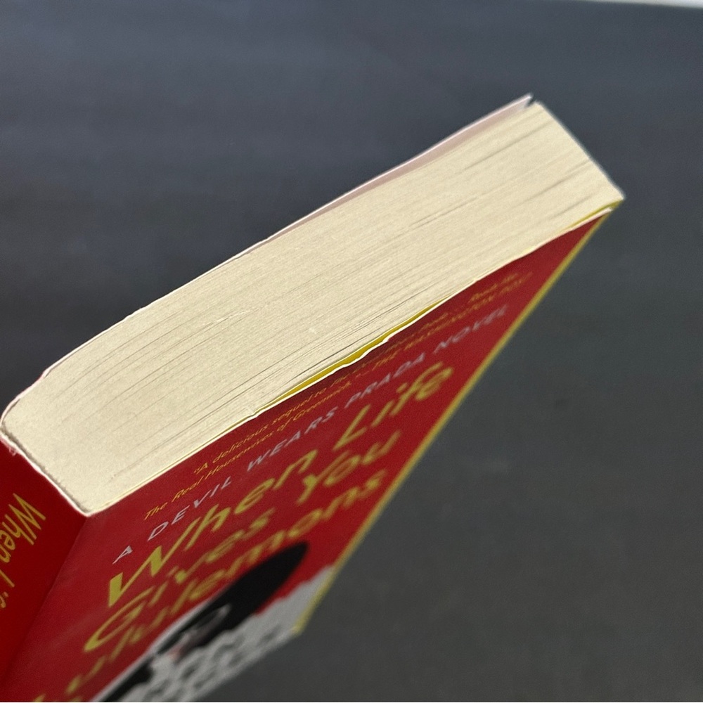 When Life Gives You Lululemons by Lauren Weisberger | Fiction | Paperback Book - Picture 5 of 8